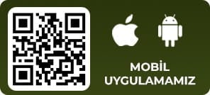 DamaBet Qr code